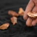CopperinHandAdobe22.jpg