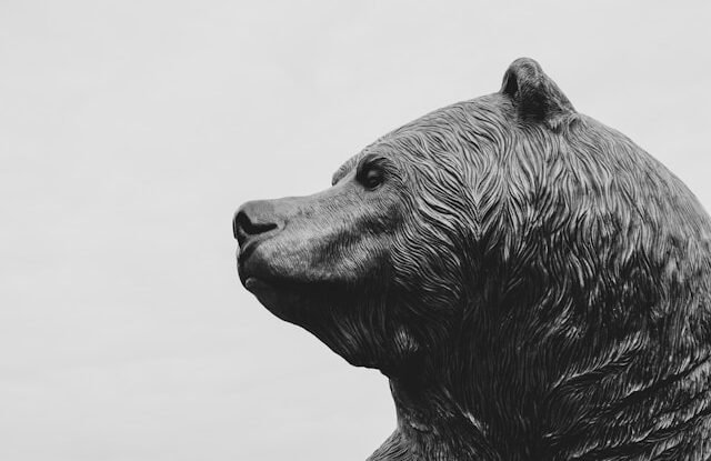 sean-benesh-x01JEi0jk8E-unsplash.jpg